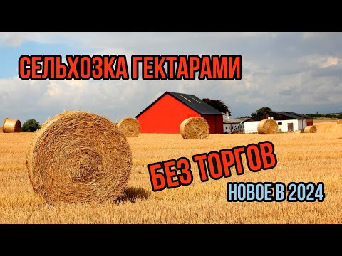 Видео: Оформляем сельхозку гектарами без торгов за копейки| ЛПХ и КФХ | Новое в законодательстве 2024