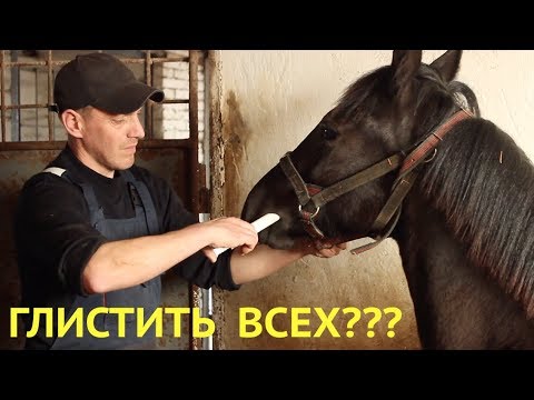Видео: НЕ НУЖНО глистить всех лошадей!