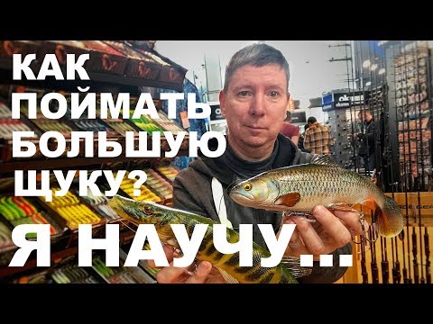 Видео: КАК ПОЙМАТЬ ТРОФЕЙ? Приманки для Крупной Щуки. Свимбейт. ОХОТА И РЫБОЛОВСТВО НА РУСИ 2019.