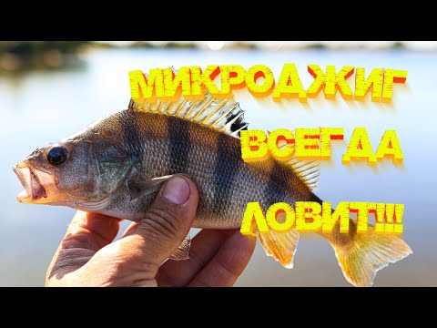 Видео: МИКРОДЖИГ ВСЕГДА ЛОВИТ!!! 💪 С берега и с лодки 👍👍👍