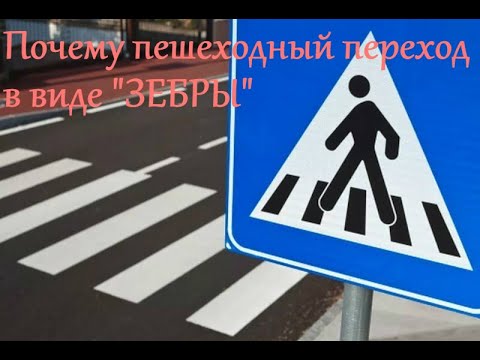 Видео: ПДД ПРИДНЕСТРОВЬЯ - Пешеходные переходы и места остановок маршрутных транспортных средств.