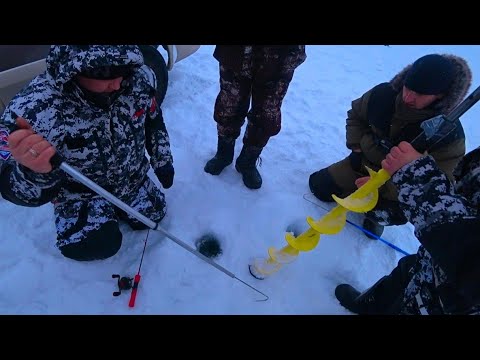 Видео: ЭТОТ КОНЬ НЕ ЛЕЗЕТ В ЛУНКУ! ЗЛЫЕ ПОКЛЁВКИ СУДАКА НА РАТТЛИН. Зимняя рыбалка на судака 2023