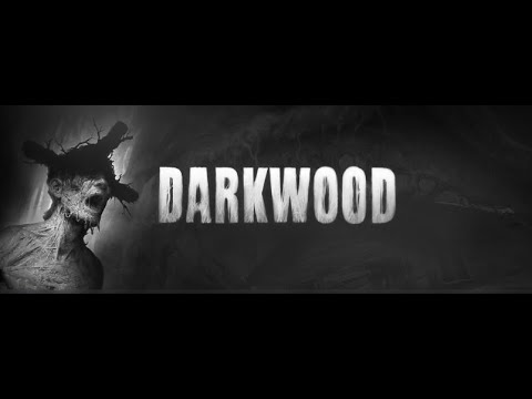 Видео: Прохождение Darkwood часть 1