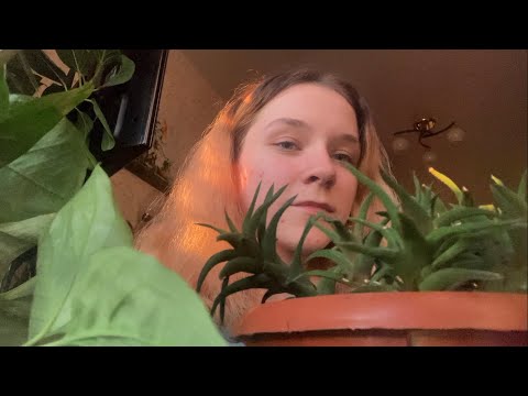 Видео: АСМР у бабушки в комнате