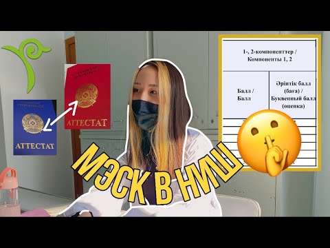 Видео: МЭСК В НИШ📚 || результаты и ощущения