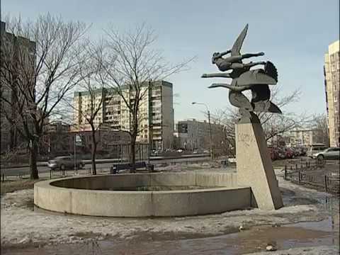 Видео: «Малые родины большого Петербурга». Комендантский аэродром.