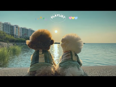 Видео: плейлист Душевный поп для друзей | R&B pop · lofi hiphop · учеба · исцеление