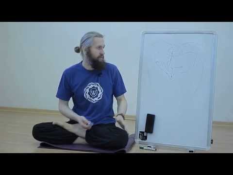 Видео: Для чего нужна йога.