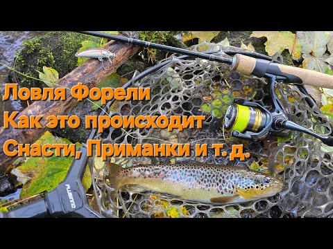 Видео: ЛОВЛЯ ФОРЕЛИ на спиннинг в горных реках- техника ловли, приманки и советы #trout #рыбалка #спиннинг