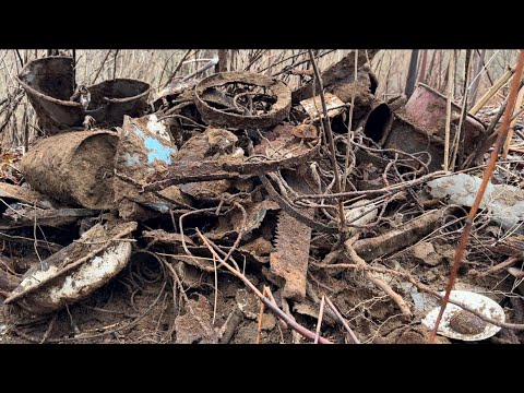 Видео: ЧТО МОЖНО ОТКОПАТЬ ЗА 1 ЧАС НА НЕМЕЦКОМ ХУТОРЕ? METAL DETECTING