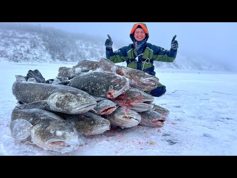 Видео: ВОТ ЭТО МОНСТРЫ!!! ПЕРВЫЙ ЛЕД НА РЕКЕ! Первый лед 2024-25. Зимняя рыбалка.