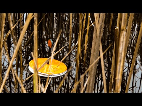 Видео: Новий спосіб лову і є результат.