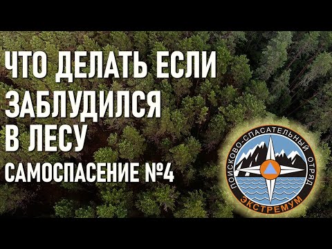 Видео: Как быть если заблудился в лесу. Самоспасение. Спасательный отряд Экстремум