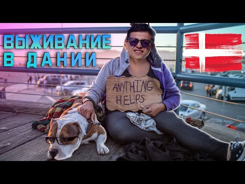 Видео: ВЫЖИВАЮ В ДАНИИ! ВОТ И ВСЁ, ЭТО КОНЕЦ!