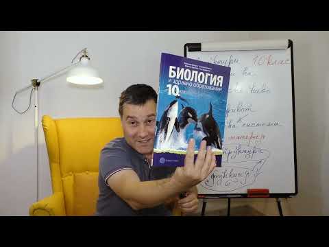 Видео: 10-ти клас. Урок №1. Преговор.