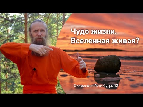 Видео: Жизнь принесли пришельцы? Может ли камень стать человеком? Что говорит йога | Сутры на санскрите.№12