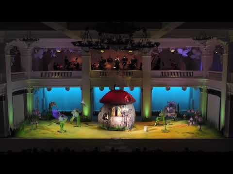 Видео: Опера-сказка "Терем теремок". Музыка И. Польского (07.01.2021 г.)