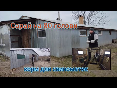 Видео: обзор сарая для свиней 16/8🏠корм для свиноматок