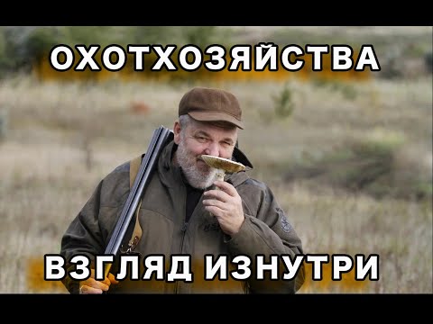 Видео: Охотничьи хозяйства. Взгляд изнутри