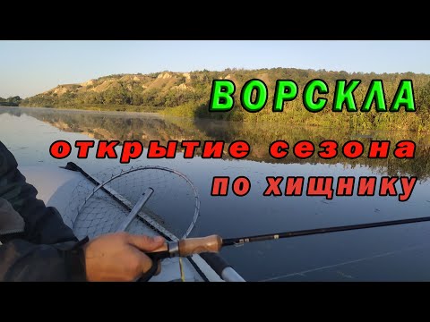 Видео: Ворскла - открытие сезона по хищнику