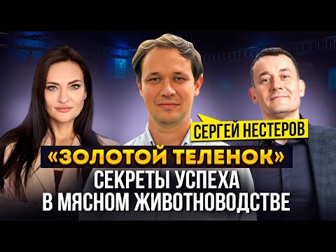 Видео: Секреты мясного животноводства: от коровы до теленка