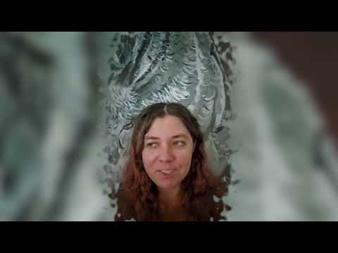 Видео: Нападение в Сербии