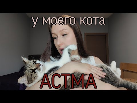 Видео: У КОТА ОБНАРУЖИЛИ АСТМУ// как это было и что с этим делать?