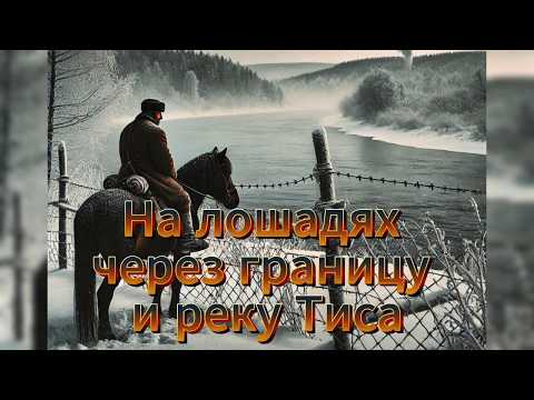Видео: На лошадях через границу и реку Тиса