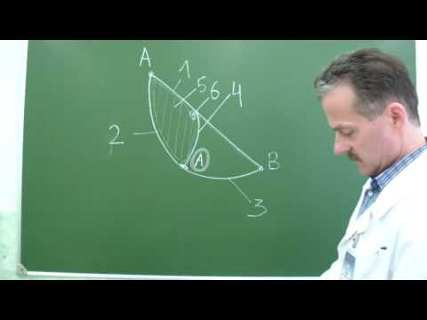 Видео: Топография мышечной и сосудистой лакун. Бедренный канал