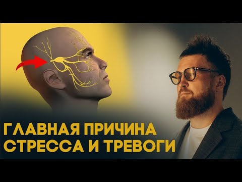 Видео: ЧЕРЕЗ ТЕЛО убираем тревогу и стресс за 5 минут