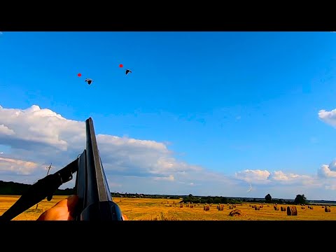 Видео: ОХОТА НА ВЯХИРЯ С ЧУЧЕЛАМИ! ОТКРЫЛ ДЛЯ СЕБЯ НОВУЮ ОХОТУ!