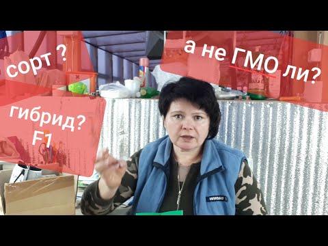 Видео: Давайте разберемся: сорт,  гибрид, ГМО, что это?