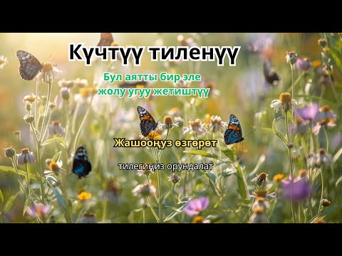 Видео: "Байлықтың жасырын кілті, ИншаАлла!"