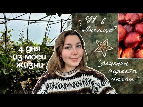 Видео: тревожность, готовка и смена планов🍂