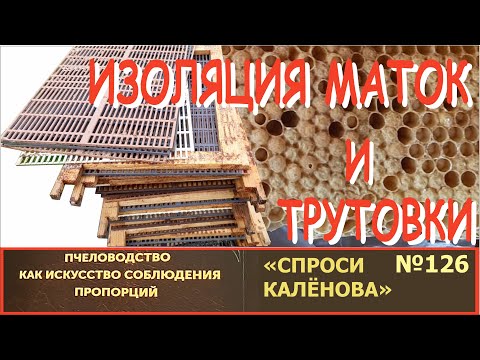 Видео: "При изоляции маток появились пчёлы-трутовки!" Наблюдения, практика, теория. Реально ли это? "СК"126