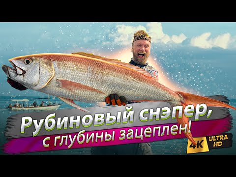 Видео: 🇮🇩 Что можно поймать на Бали? Глубоководная океаническая рыбалка на рубинового снэпера