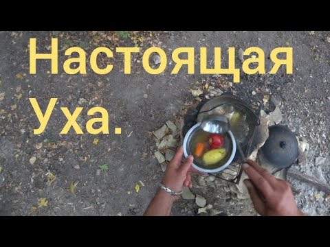 Видео: Уха из окуня. Самая вкусная уха.