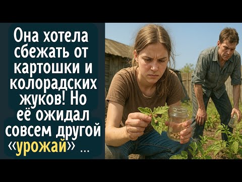 Видео: Она хотела сбежать от картошки и колорадских жуков … Но вскоре её ожидал совсем другой «урожай» …
