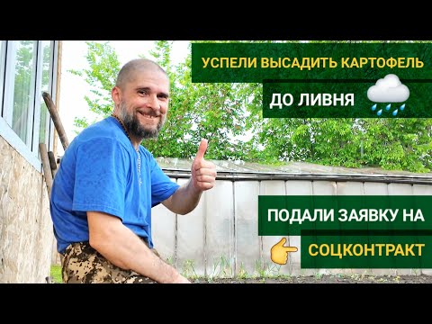 Видео: ВЫСАДИЛИ КАРТОФЕЛЬ 🥔 | ПОДАЛИ ЗАЯВКУ НА СОЦКОНТРАКТ 💳