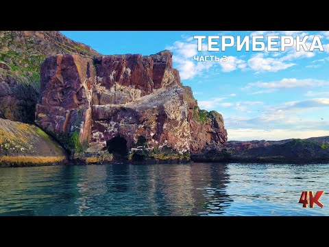 Видео: Рыбалка на Баренцевом море "Териберка"