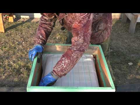 Видео: Чтобы зимовка была успешной делаю так...