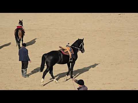 Видео: Бузкаши Н .Чайхун Дехаи Хазорчашма 5 11 2025 кисми 1