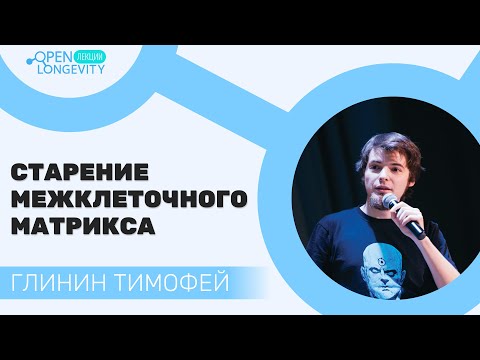 Видео: Тимофей Глинин: Старение межклеточного матрикса