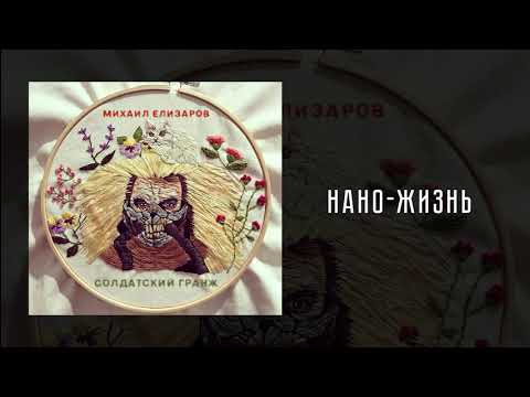 Видео: Михаил Елизаров — Нано-жизнь