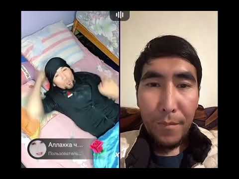 Видео: Акбала менен дикий волк Бауржан