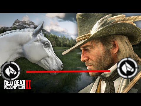 Видео: Насколько быстро лошадь Артура может перейти от минимальной связи к максимальной в Red Dead Redem...