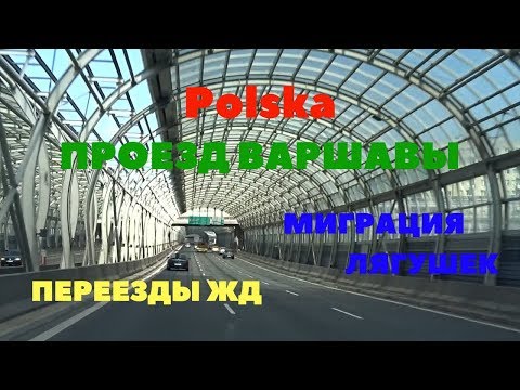 Видео: Польша: проезд Варшавы, кладбища,  жд переезды, миграция лягушек/Polacy, kochamy cię!