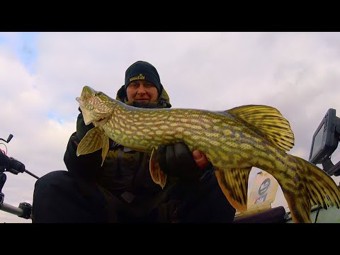 Видео: Ночевка на острове. Судак. Щука. Костер с вопросом...bogomaz05