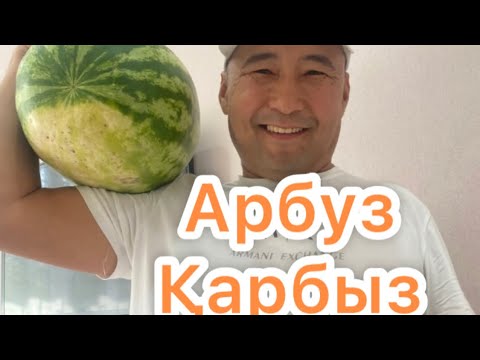 Видео: Айша мен Айару папасына қарбызды нарезкаға көмектесті ❤️❤️❤️🌺🌺🌺👍👍
