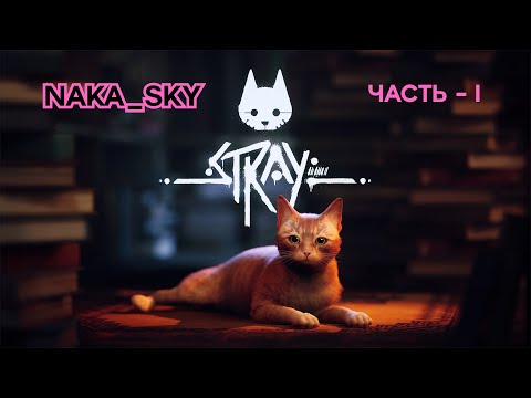 Видео: Stray Муррр